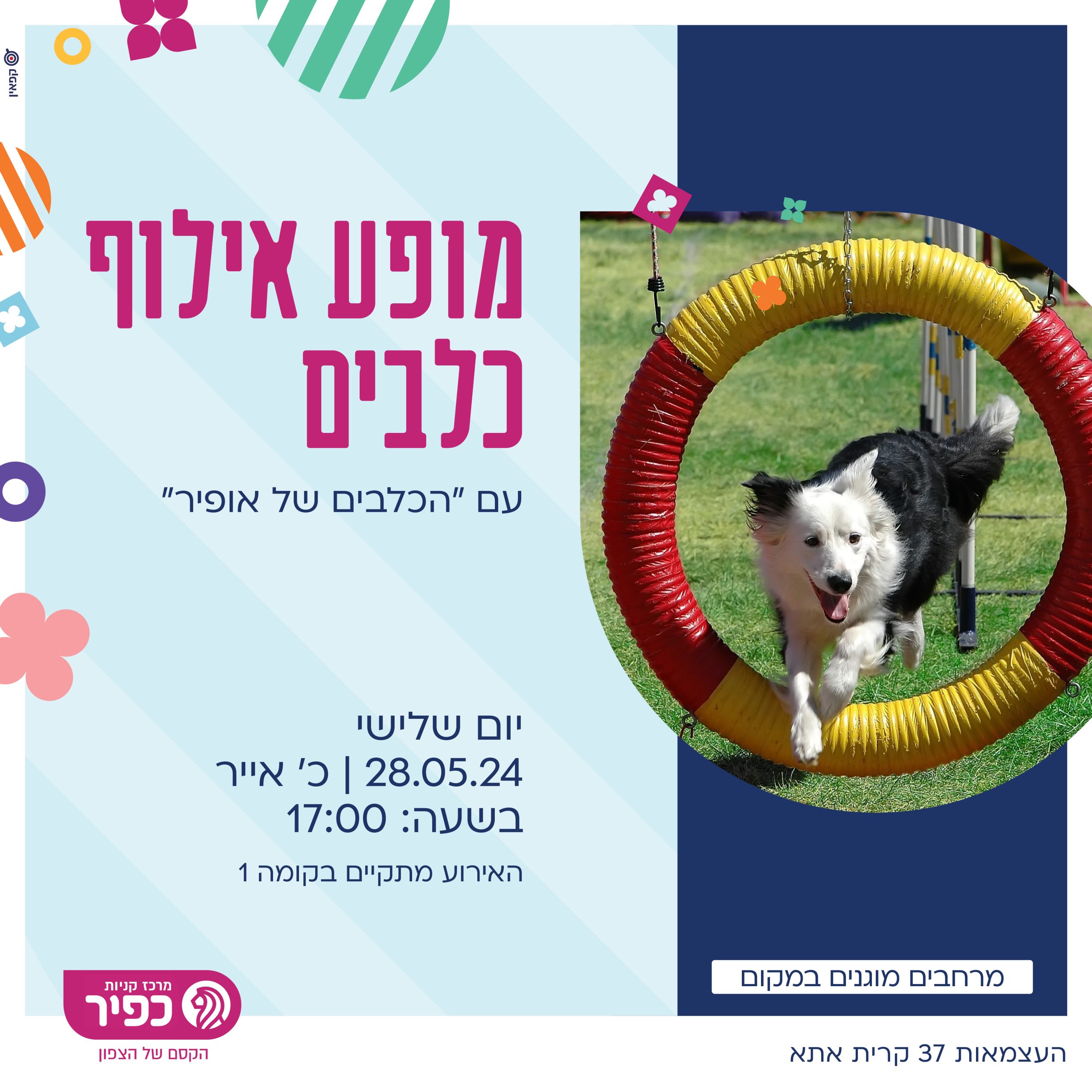 כלבים 28.5